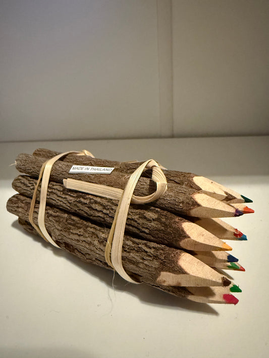 Branch Colored Pencil Bundle
